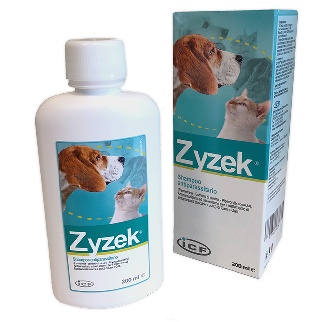 ZYZEK SHAMPOO ANT*FL PE 200ML - Farmacianuova.eu