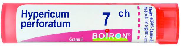 HYPERICUM PERFORATUM 7 CH GRANULI - Farmacianuova.eu