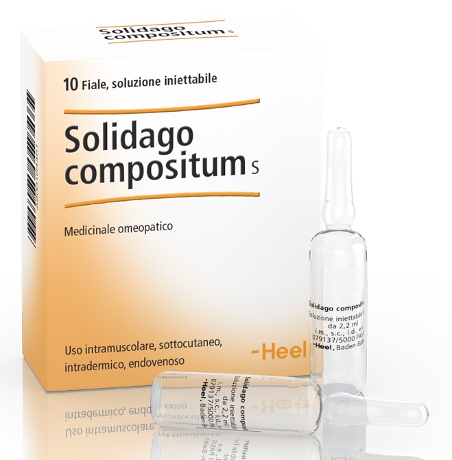 HEEL SOLIDAGO COMPOSITUM 10 FIALE DA 2,2 ML L'UNA - Farmacianuova.eu