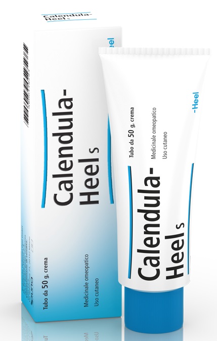 HEEL CALENDULA SALBE POMATA M 50 G - Farmacianuova.eu