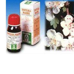BIANCOSPINO 10 50ML TM - Farmacianuova.eu