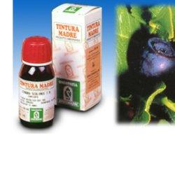 MIRTILLO 31 50ML TM - Farmacianuova.eu