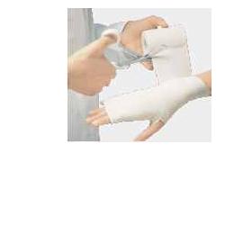 BENDA ELASTICA 20X450CM - Farmacianuova.eu