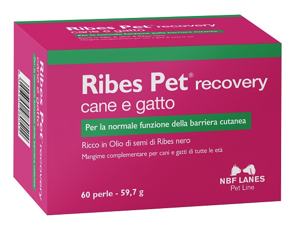 RIBES PET RECOVERY BLISTER 60 PERLE - Farmacianuova.eu
