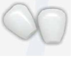 COPPIA OLIVE AURICOLARE - Farmacianuova.eu