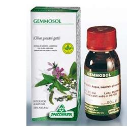 GEMMOSOL 36 RIBES NERO 50ML - Farmacianuova.eu