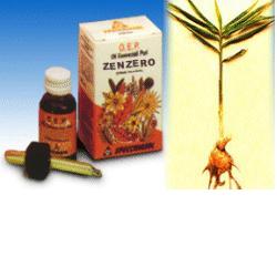 ZENZERO OLIO ESSENZIALE PURO 10 ML - Farmacianuova.eu