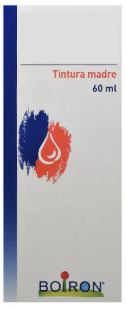 THUYA OCCIDENTALIS TINTURA MADRE 60 ML - Farmacianuova.eu