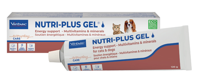 NUTRIPLUS GEL PASTA ORALE 120 G - Farmacianuova.eu