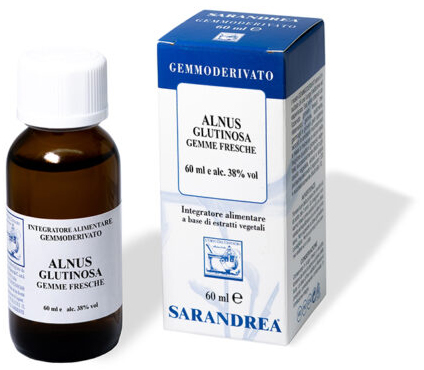 ALNUS GLUTINOSA 100 ML MACERATO GLICERICO - Farmacianuova.eu