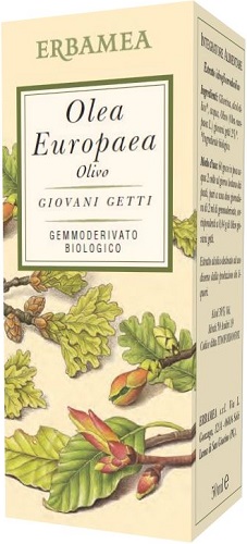 OLEA EUROPEA OLIVO BIO 50 ML - Farmacianuova.eu
