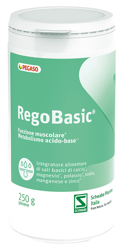 REGOBASIC POLVERE 250 G - Farmacianuova.eu