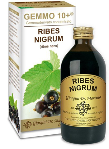 GEMMO 10+ RIBES NERO 200 ML LIQUIDO ANALCOLICO - Farmacianuova.eu