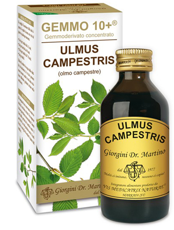 GEMMO 10+ OLMO CAMPESTRE 100 ML LIQUIDO ANALCOLICO - Farmacianuova.eu