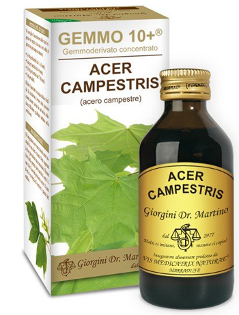 GEMMO 10+ ACERO CAMPESTRE 100 ML LIQUIDO ANALCOLICO - Farmacianuova.eu