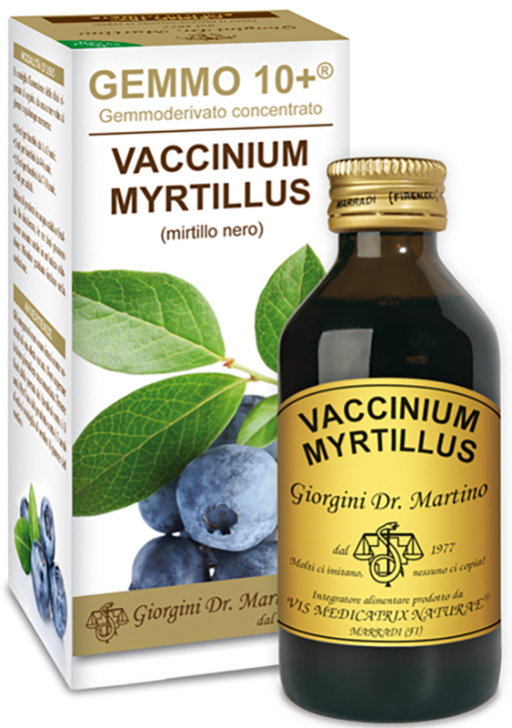 GEMMO 10+ GEMMODERIVATO CONCENTRATO VACCINIUM MYRTILLUS MIRTILLO NERO SENZA ALCOOL 100 ML - Farmacianuova.eu