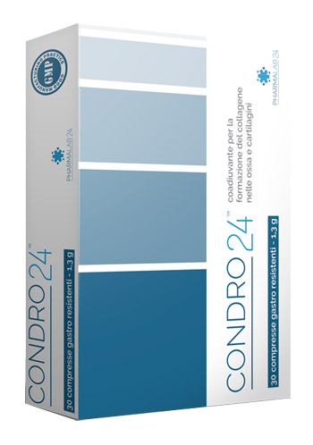 CONDRO24 30 COMPRESSE - Farmacianuova.eu