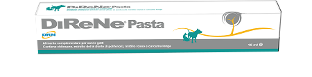 DIRENE PASTA 15 ML - Farmacianuova.eu