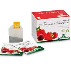 INFUSO FRAGOLA/LAMPONE 20 FILTRI - Farmacianuova.eu
