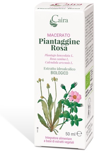 CAIRA PIANTAGGINE ROSA MACERATO IDROALCOLICO GOCCE 50 ML - Farmacianuova.eu