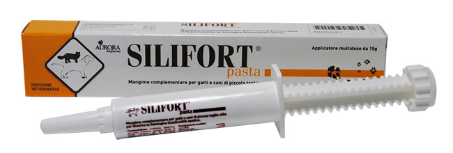 SILIFORT PASTA OS SIRINGA 15 G - Farmacianuova.eu
