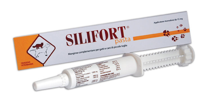 SILIFORT PASTA OS SIRINGA 30 G - Farmacianuova.eu