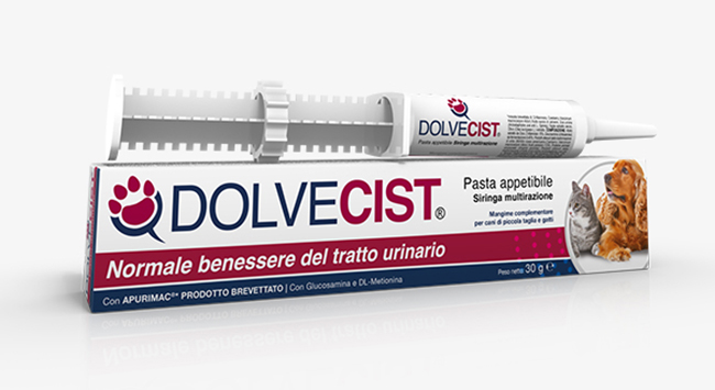 DOLVECIST PASTA SIRINGA 30 G - Farmacianuova.eu