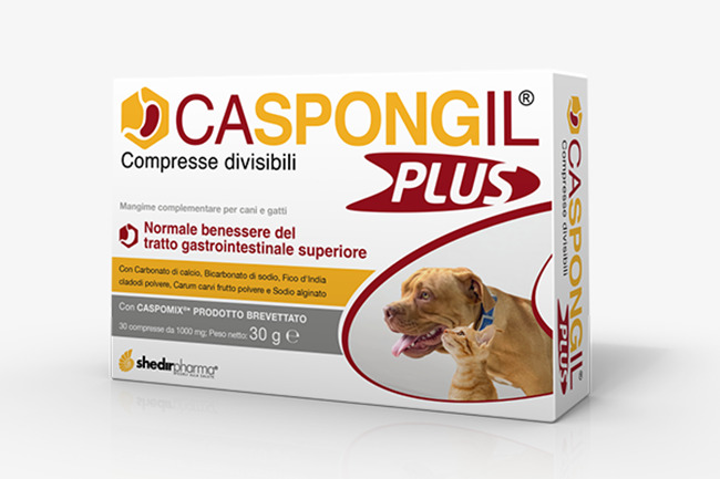 CASPONGIL PLUS 30 COMPRESSE - Farmacianuova.eu