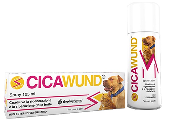 CICAWUND SPRAY 125 ML - Farmacianuova.eu