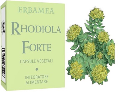 RHODIOLA FORTE 24 CAPSULE - Farmacianuova.eu