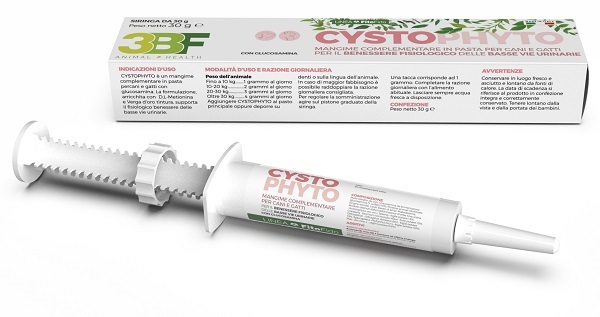 CYSTOPHYTO PASTA SIRINGA 30 G - Farmacianuova.eu