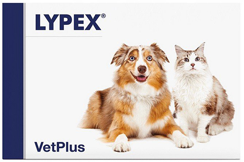 LYPEX 60 CAPSULE - Farmacianuova.eu