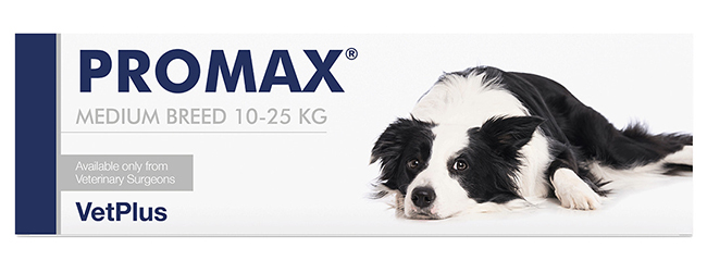 PROMAX MEDIUM BREED 18 ML - Farmacianuova.eu