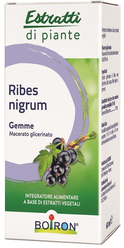 RIBES NIGRUM MACERATO GLICERICO 60 ML INT - Farmacianuova.eu
