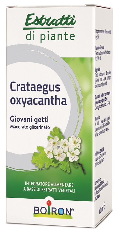 CRATAEGUS OXYACANTHA MACERATO GLICERICO 60 ML INT - Farmacianuova.eu