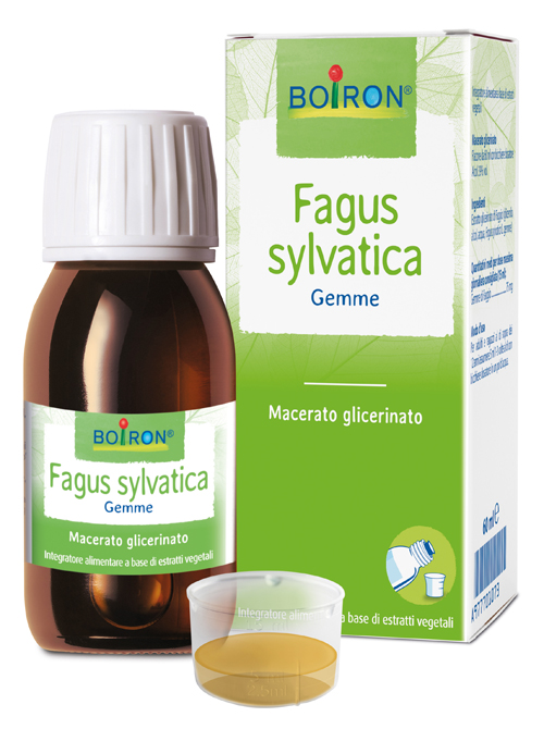 FAGUS SYLVATICA MACERATO GLICERICO 60 ML INT - Farmacianuova.eu