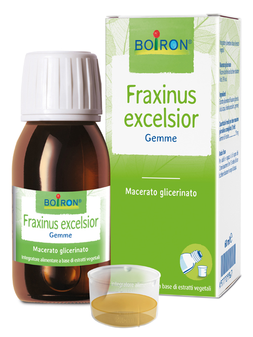 FRAXINUS EXCELSIOR MACERATO GLICERICO 60 ML INT - Farmacianuova.eu