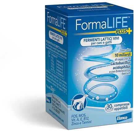 FORMALIFE PLUS FERMENTI LATTICI VIVI 30 COMPRESSE APPETIBILI - Farmacianuova.eu