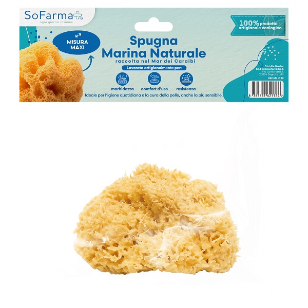 SPUGNA MARINA NATURALE MAXI SOFARMAPIU' - Farmacianuova.eu
